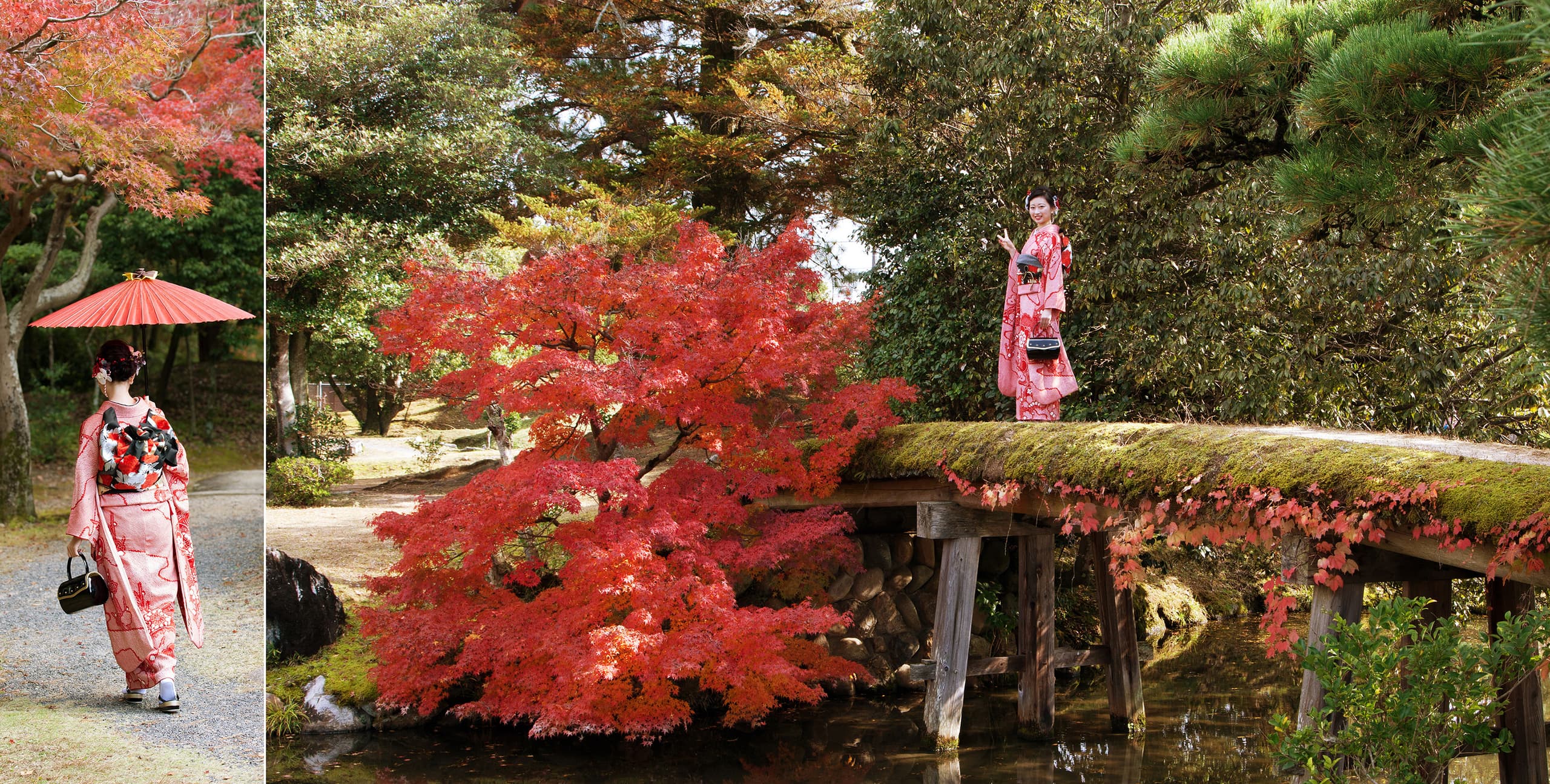 yamane_0203.jpg